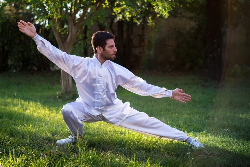 Chen Style Tai Chi Chuan